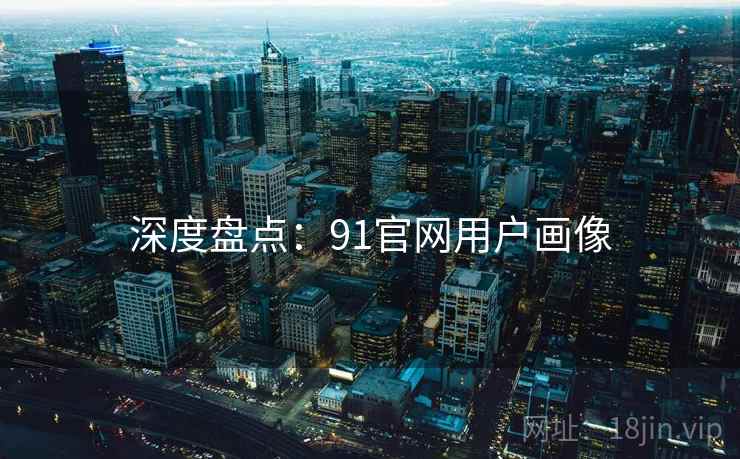 深度盘点：91官网用户画像