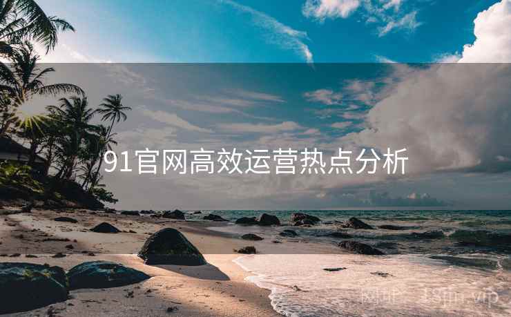 91官网高效运营热点分析