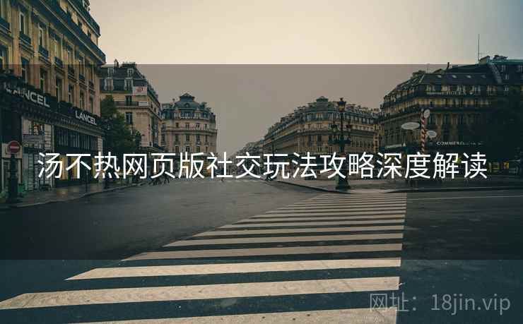 汤不热网页版社交玩法攻略深度解读