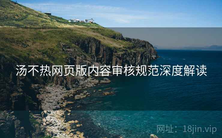汤不热网页版内容审核规范深度解读