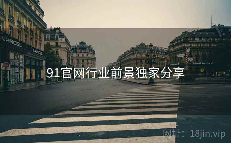 91官网行业前景独家分享