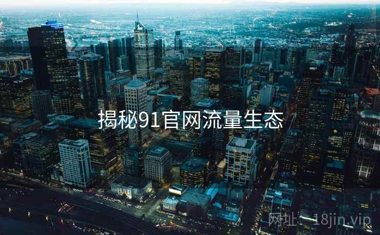 揭秘91官网流量生态