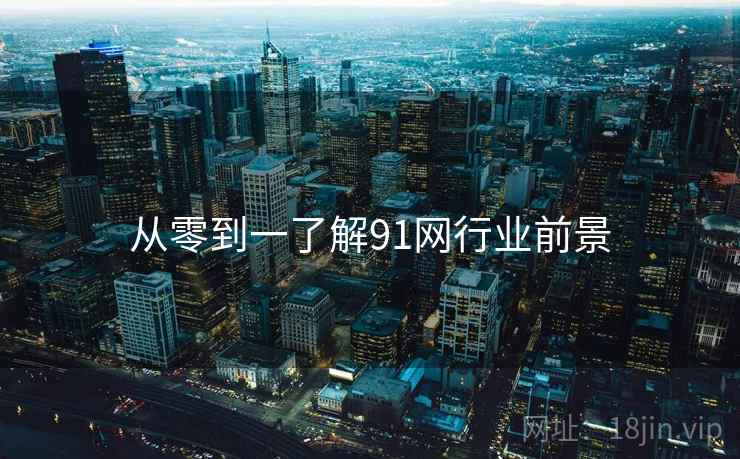 从零到一了解91网行业前景