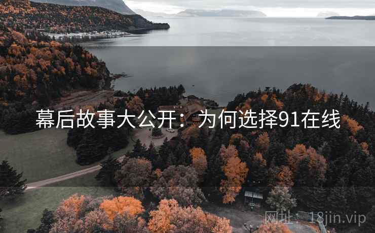 幕后故事大公开：为何选择91在线