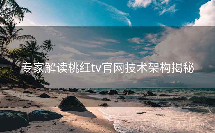 专家解读桃红tv官网技术架构揭秘