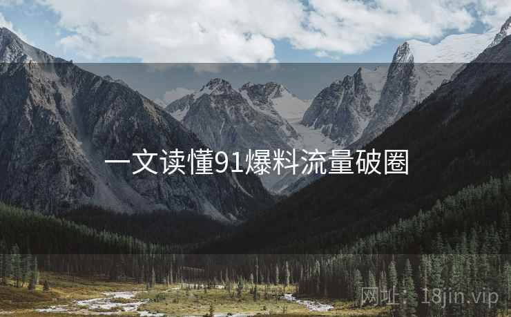 一文读懂91爆料流量破圈